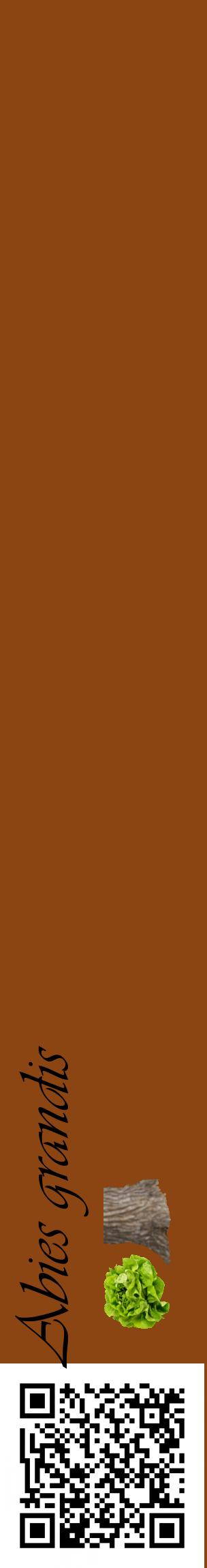 Étiquette de : Abies grandis - format c - style noire30_basiqueviv avec qrcode et comestibilité simplifiée