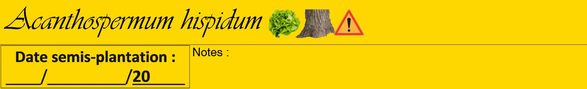 Étiquette de : Acanthospermum hispidum - format a - style noire21viv avec comestibilité simplifiée