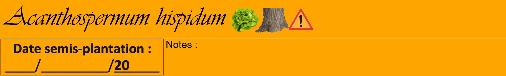 Étiquette de : Acanthospermum hispidum - format a - style noire22viv avec comestibilité simplifiée