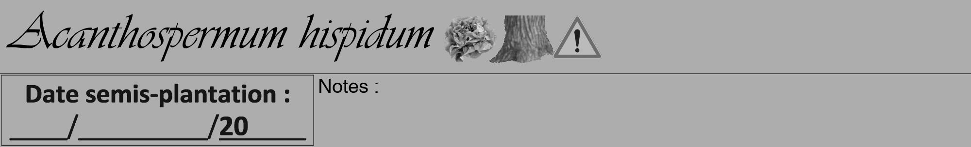 Étiquette de : Acanthospermum hispidum - format a - style noire22viv avec comestibilité simplifiée