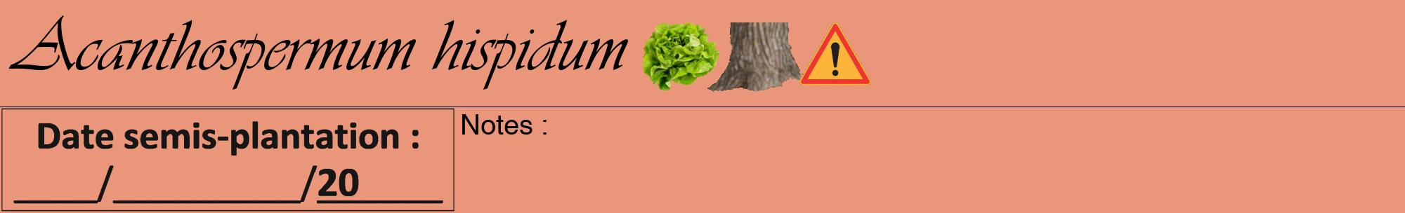 Étiquette de : Acanthospermum hispidum - format a - style noire37viv avec comestibilité simplifiée