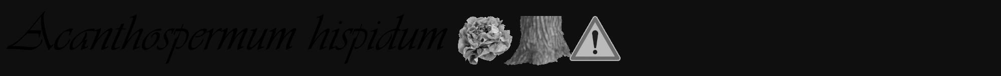 Étiquette de : Acanthospermum hispidum - format a - style noire7viv avec comestibilité simplifiée