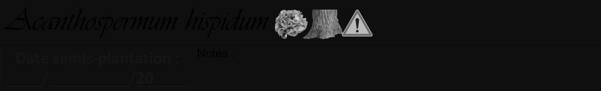 Étiquette de : Acanthospermum hispidum - format a - style noire7viv avec comestibilité simplifiée