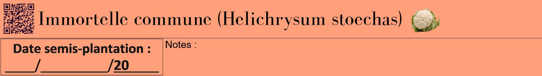 Étiquette de : Helichrysum stoechas - format a - style noire39bod avec qrcode et comestibilité simplifiée