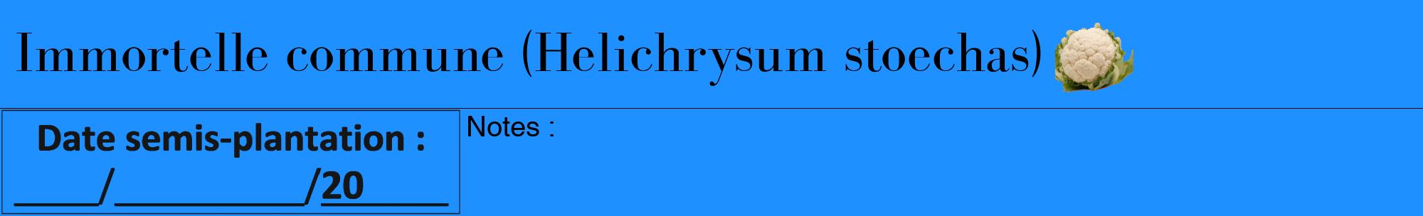 Étiquette de : Helichrysum stoechas - format a - style noire3bod avec comestibilité simplifiée