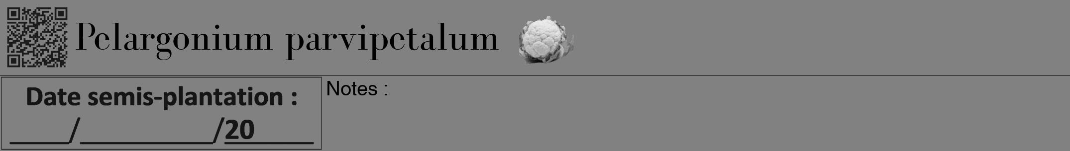 Étiquette de : Pelargonium parvipetalum - format a - style noire50bod avec qrcode et comestibilité simplifiée