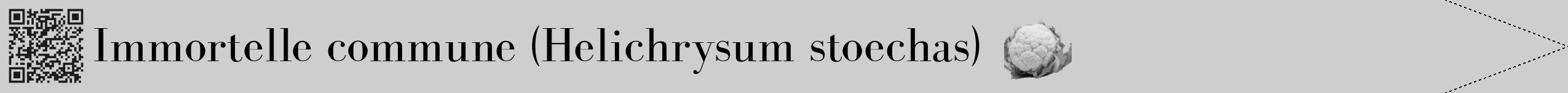 Étiquette de : Helichrysum stoechas - format b - style noire17bod avec qrcode et comestibilité simplifiée