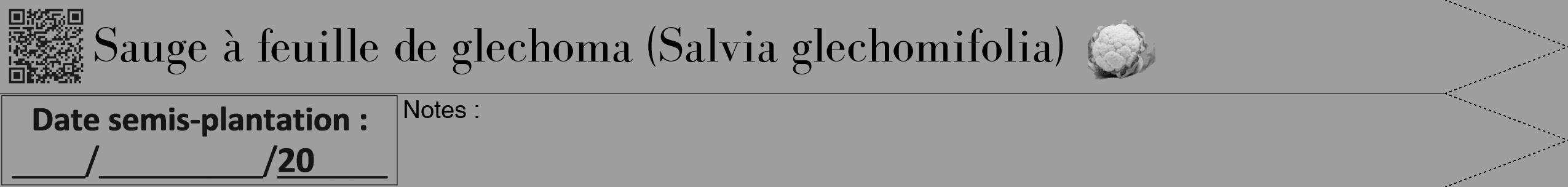Étiquette de : Salvia glechomifolia - format b - style noire23bod avec qrcode et comestibilité simplifiée