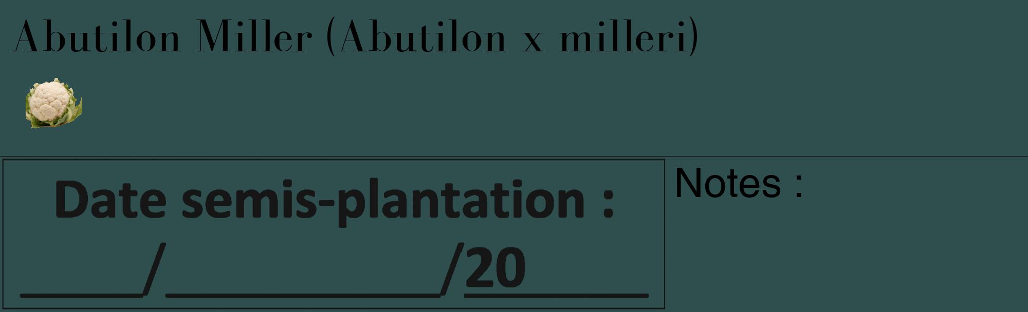 Étiquette de : Abutilon x milleri - format c - style noire58_basique_basiquebod avec comestibilité simplifiée