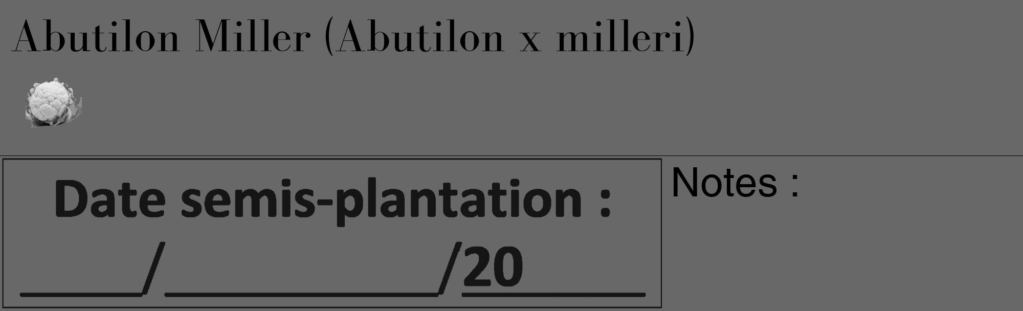 Étiquette de : Abutilon x milleri - format c - style noire6_basique_basiquebod avec comestibilité simplifiée