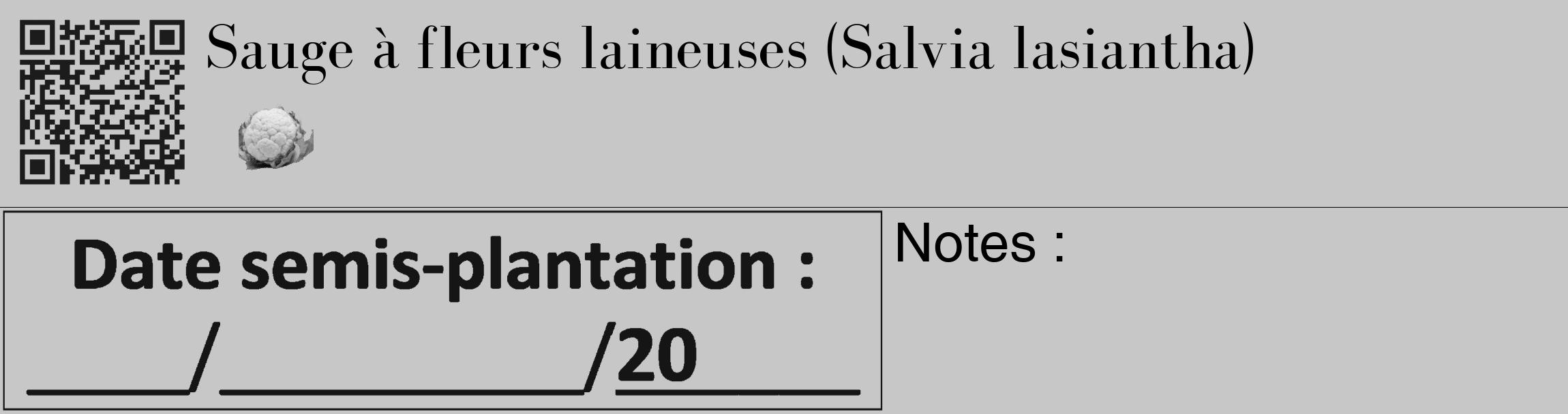 Étiquette de : Salvia lasiantha - format c - style noire15_basique_basiquebod avec qrcode et comestibilité simplifiée