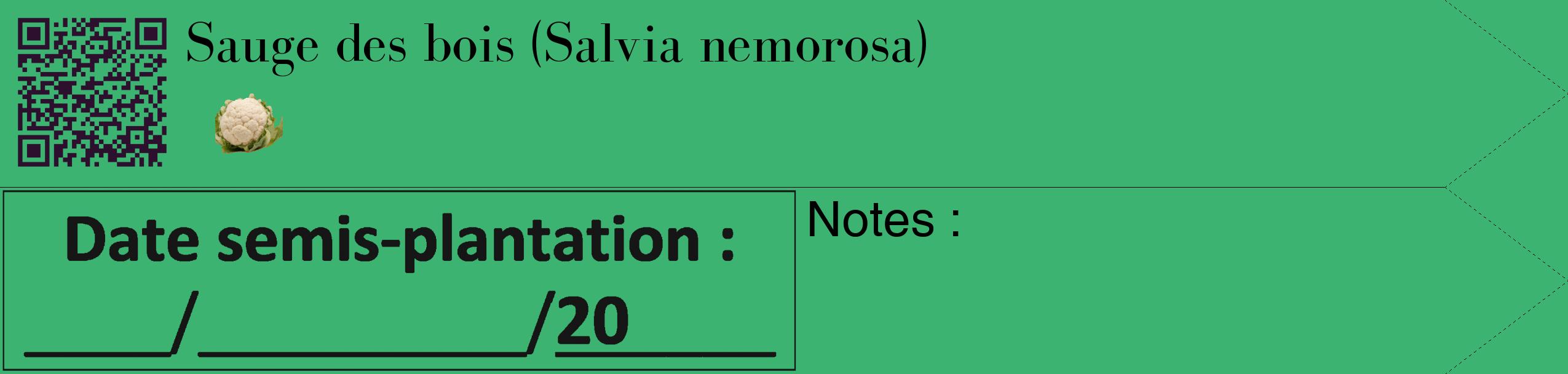 Étiquette de : Salvia nemorosa - format c - style noire12_simple_simplebod avec qrcode et comestibilité simplifiée