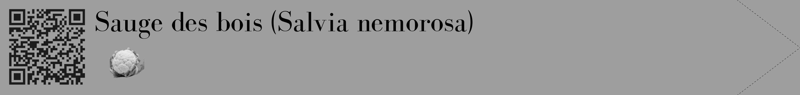 Étiquette de : Salvia nemorosa - format c - style noire23_simple_simplebod avec qrcode et comestibilité simplifiée