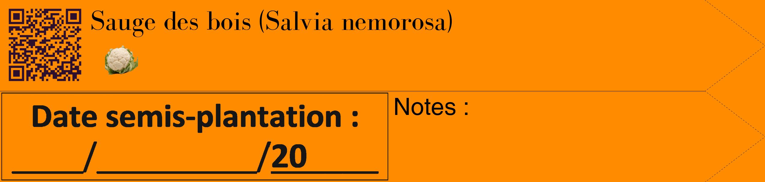 Étiquette de : Salvia nemorosa - format c - style noire23_simple_simplebod avec qrcode et comestibilité simplifiée