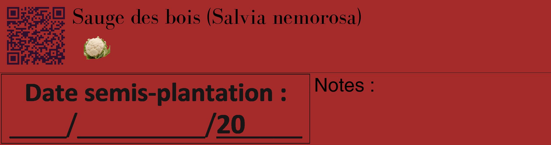 Étiquette de : Salvia nemorosa - format c - style noire33_basique_basiquebod avec qrcode et comestibilité simplifiée