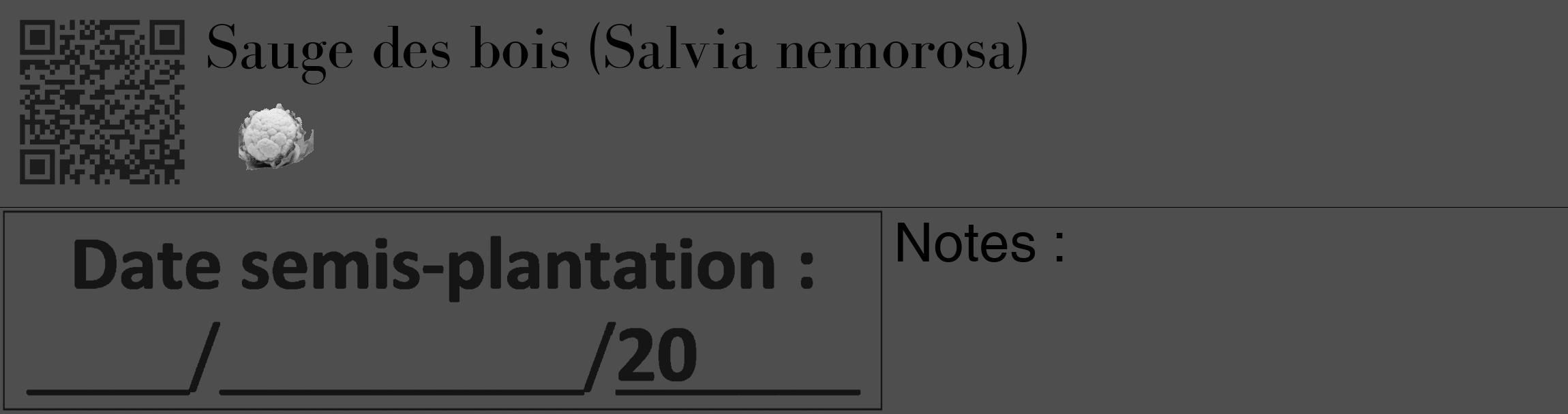 Étiquette de : Salvia nemorosa - format c - style noire33_basique_basiquebod avec qrcode et comestibilité simplifiée