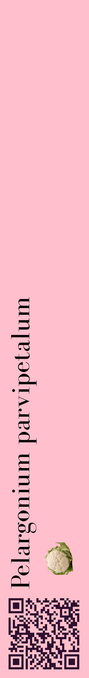 Étiquette de : Pelargonium parvipetalum - format c - style noire40_basiquebod avec qrcode et comestibilité simplifiée
