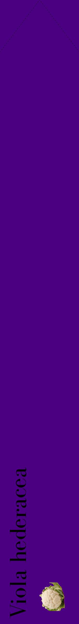 Étiquette de : Viola hederacea - format c - style noire47_simplebod avec comestibilité simplifiée