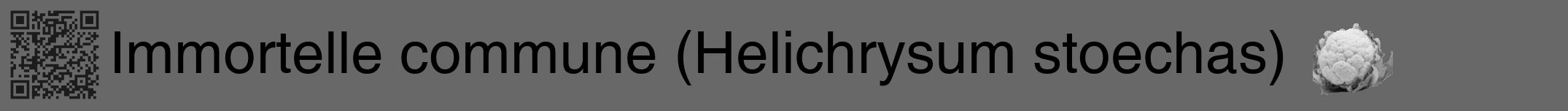 Étiquette de : Helichrysum stoechas - format a - style noire43hel avec qrcode et comestibilité simplifiée