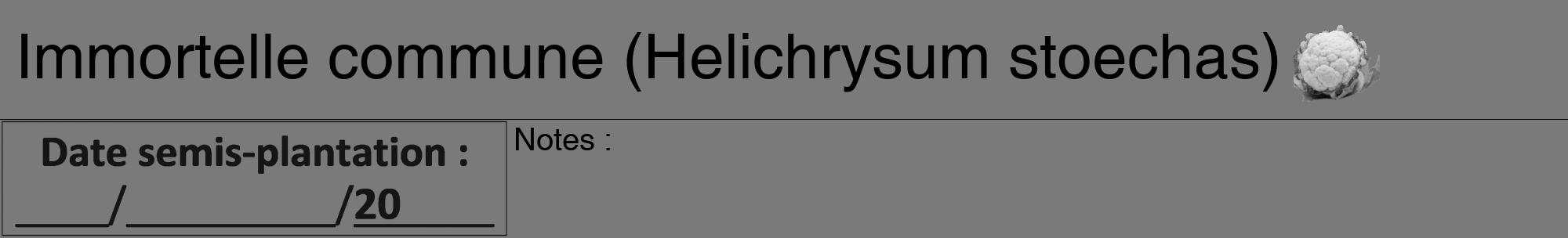 Étiquette de : Helichrysum stoechas - format a - style noire3hel avec comestibilité simplifiée