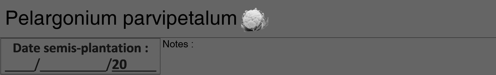 Étiquette de : Pelargonium parvipetalum - format a - style noire32hel avec comestibilité simplifiée