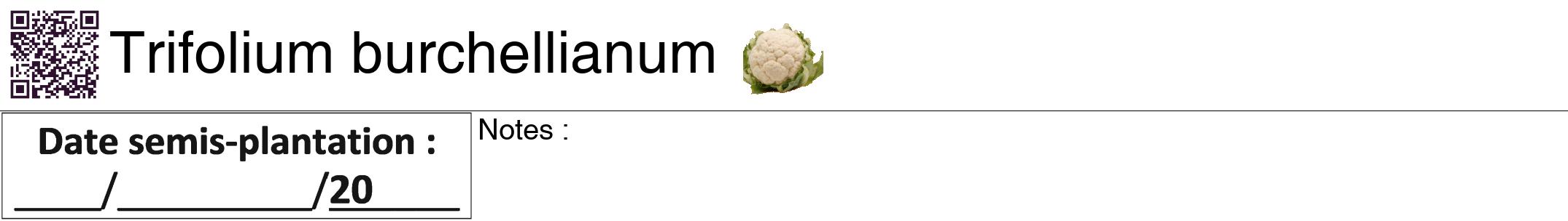 Étiquette de : Trifolium burchellianum - format a - style noire60hel avec qrcode et comestibilité simplifiée