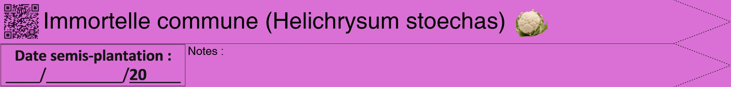 Étiquette de : Helichrysum stoechas - format b - style noire52hel avec qrcode et comestibilité simplifiée