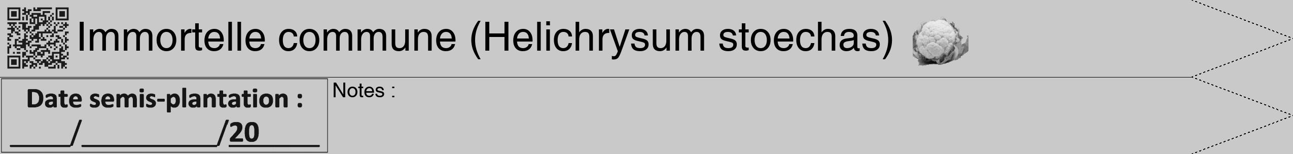 Étiquette de : Helichrysum stoechas - format b - style noire54hel avec qrcode et comestibilité simplifiée