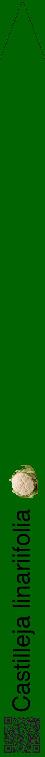 Étiquette de : Castilleja linariifolia - format b - style noire8hel avec qrcode et comestibilité simplifiée