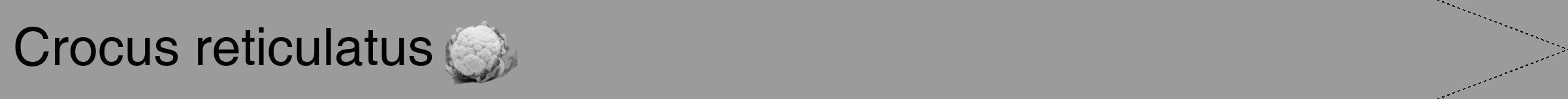 Étiquette de : Crocus reticulatus - format b - style noire52hel avec comestibilité simplifiée