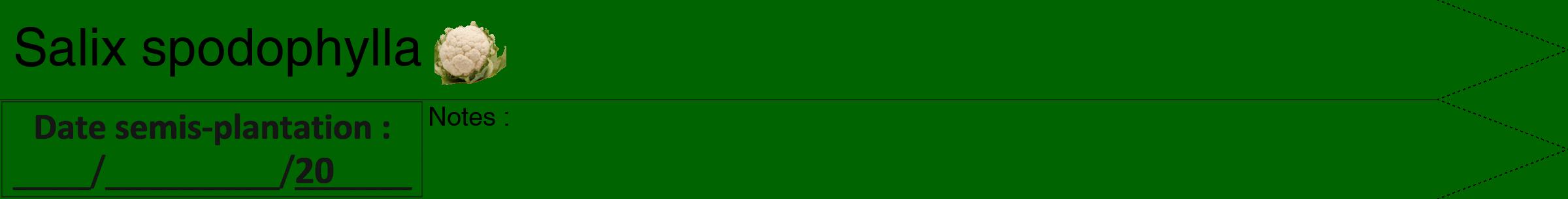 Étiquette de : Salix spodophylla - format b - style noire8hel avec comestibilité simplifiée