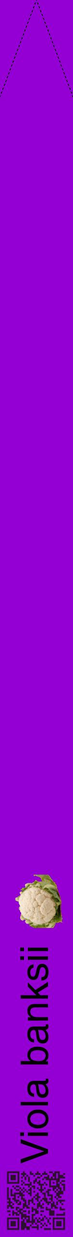Étiquette de : Viola banksii - format b - style noire48hel avec qrcode et comestibilité simplifiée