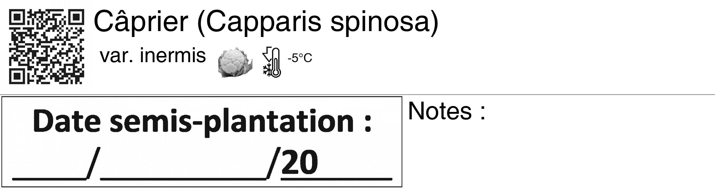Étiquette de : Capparis spinosa var. inermis - format c - style noire60_basiquegrrvhel avec qrcode et comestibilité simplifiée