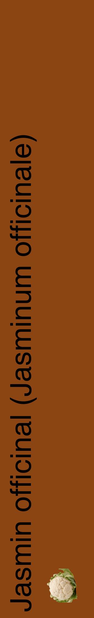 Étiquette de : Jasminum officinale - format c - style noire30_basiquehel avec comestibilité simplifiée