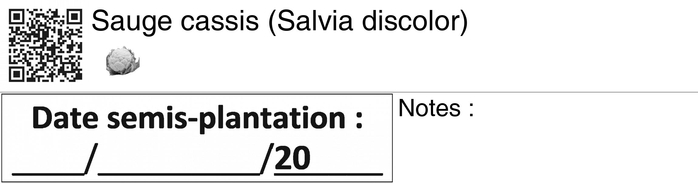 Étiquette de : Salvia discolor - format c - style noire60_basiquegrrvhel avec qrcode et comestibilité simplifiée