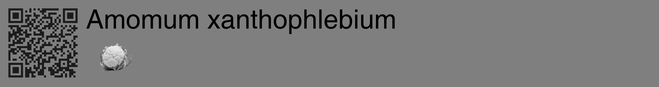 Étiquette de : Amomum xanthophlebium - format c - style noire57_basique_basiquehel avec qrcode et comestibilité simplifiée