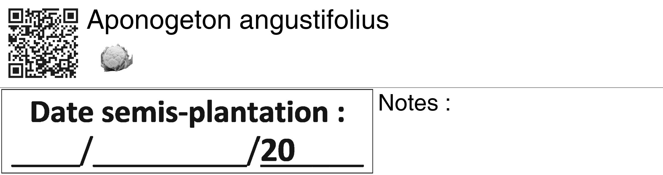 Étiquette de : Aponogeton angustifolius - format c - style noire60_basiquegrrvhel avec qrcode et comestibilité simplifiée