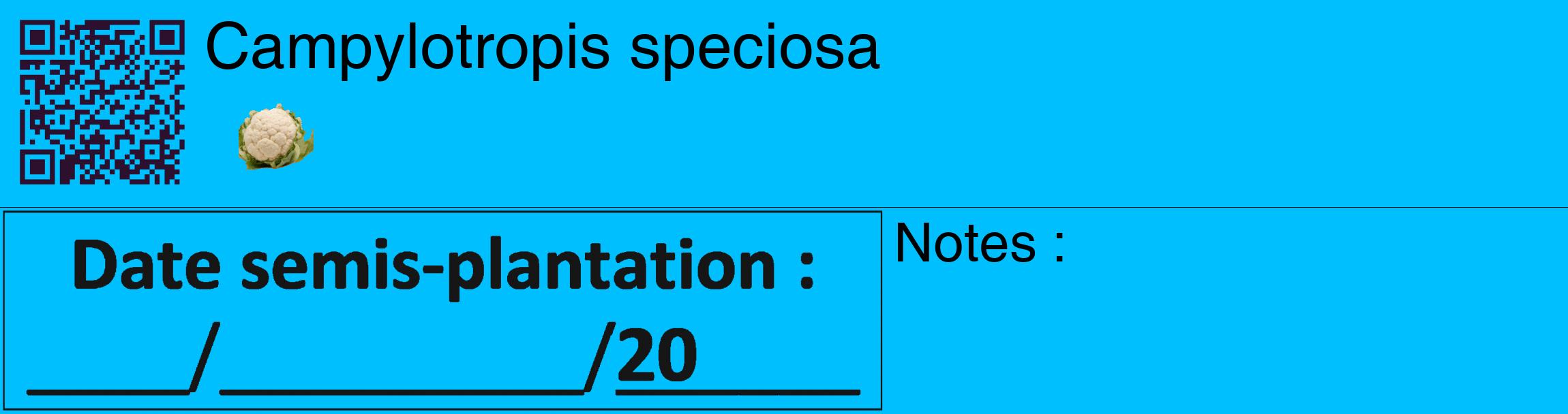 Étiquette de : Campylotropis speciosa - format c - style noire2_basique_basiquehel avec qrcode et comestibilité simplifiée