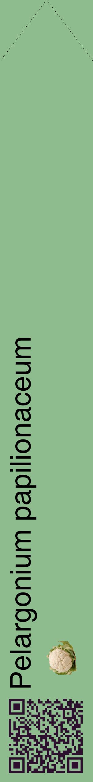 Étiquette de : Pelargonium papilionaceum - format c - style noire13_simplehel avec qrcode et comestibilité simplifiée