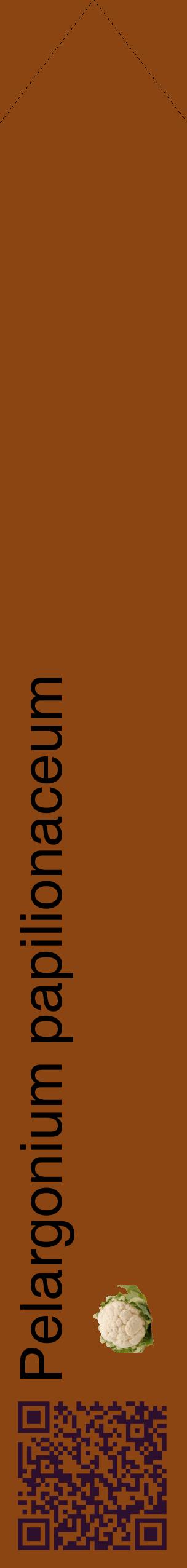 Étiquette de : Pelargonium papilionaceum - format c - style noire30_simplehel avec qrcode et comestibilité simplifiée