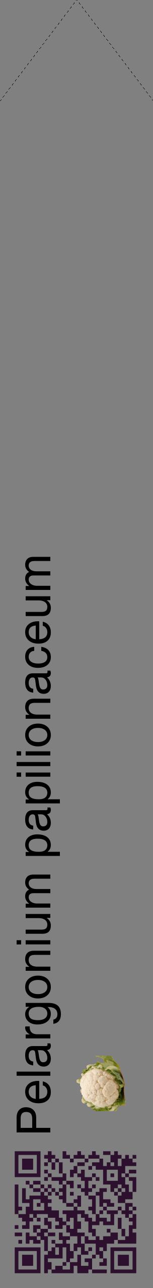 Étiquette de : Pelargonium papilionaceum - format c - style noire57_simplehel avec qrcode et comestibilité simplifiée