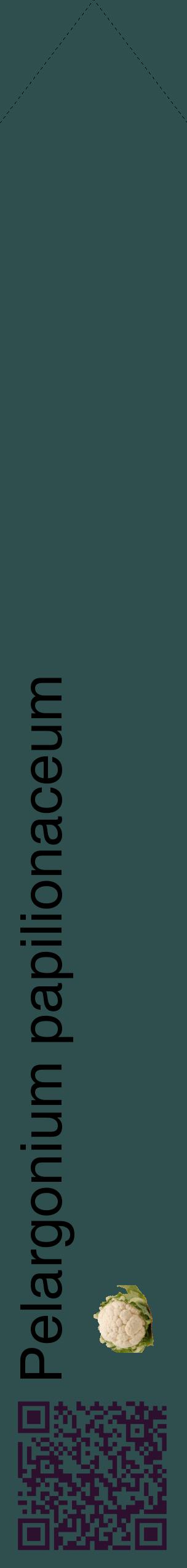 Étiquette de : Pelargonium papilionaceum - format c - style noire58_simplehel avec qrcode et comestibilité simplifiée