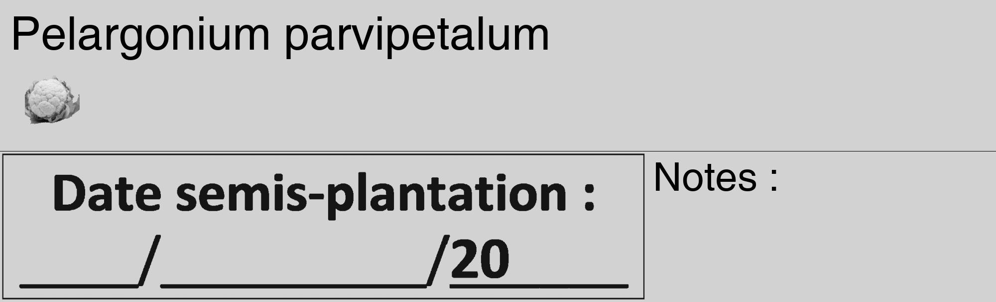 Étiquette de : Pelargonium parvipetalum - format c - style noire14_basique_basiquehel avec comestibilité simplifiée