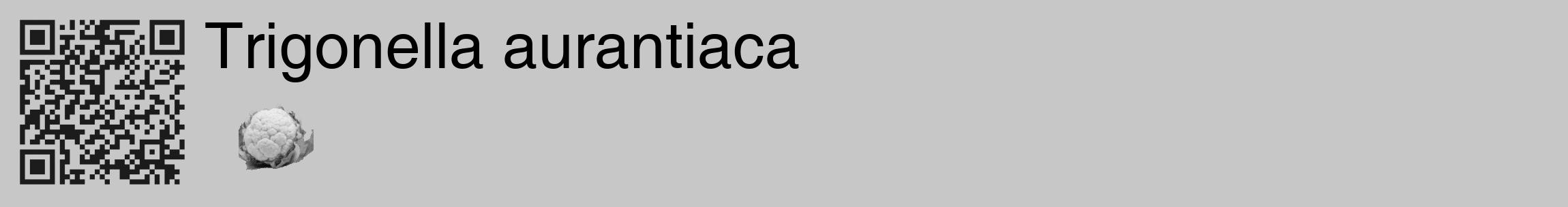 Étiquette de : Trigonella aurantiaca - format c - style noire15_basique_basiquehel avec qrcode et comestibilité simplifiée