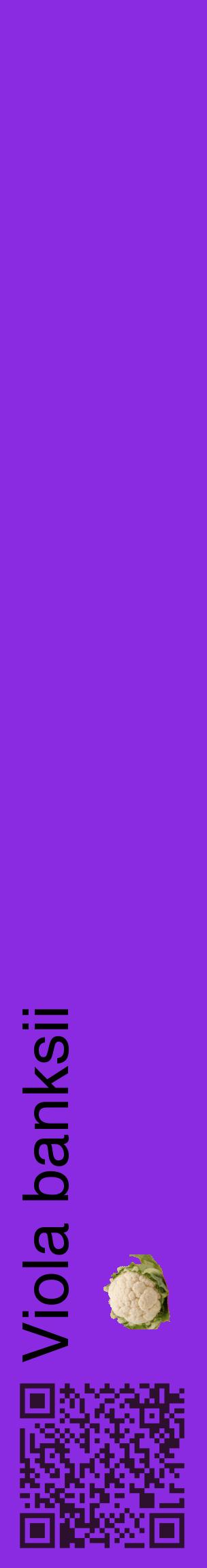 Étiquette de : Viola banksii - format c - style noire49_basiquehel avec qrcode et comestibilité simplifiée