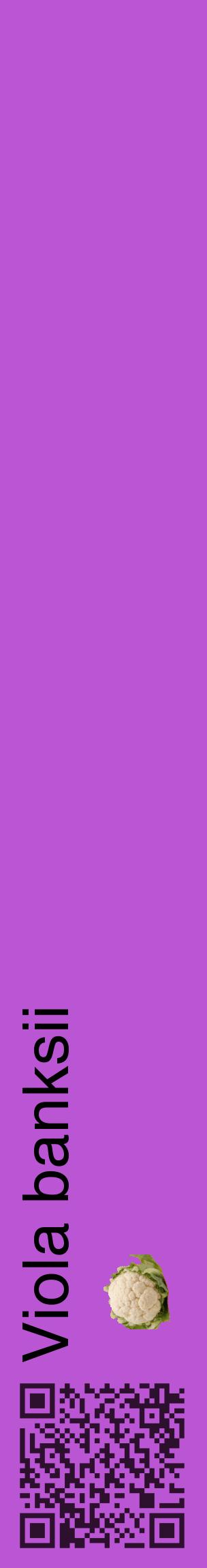 Étiquette de : Viola banksii - format c - style noire50_basiquehel avec qrcode et comestibilité simplifiée