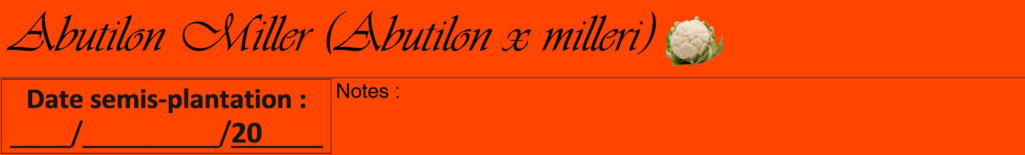 Étiquette de : Abutilon x milleri - format a - style noire26viv avec comestibilité simplifiée