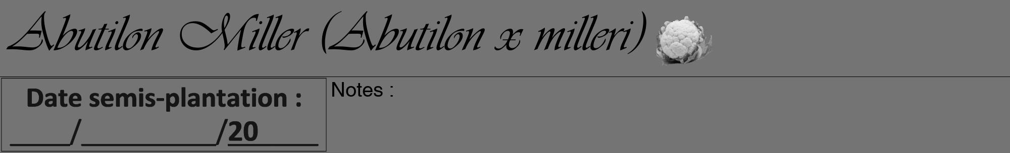 Étiquette de : Abutilon x milleri - format a - style noire26viv avec comestibilité simplifiée