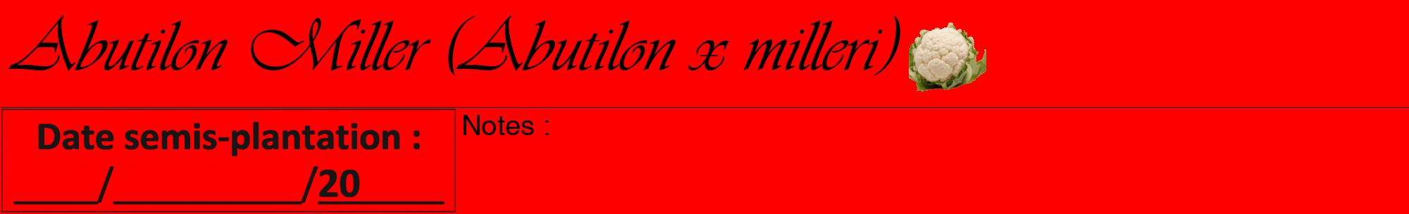 Étiquette de : Abutilon x milleri - format a - style noire27viv avec comestibilité simplifiée