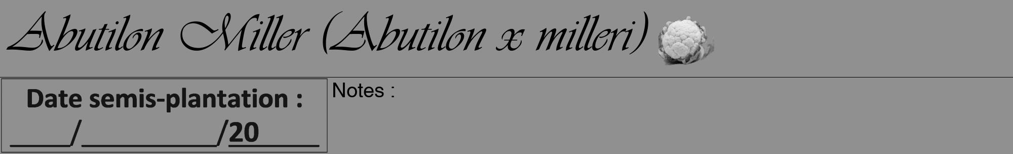Étiquette de : Abutilon x milleri - format a - style noire4viv avec comestibilité simplifiée
